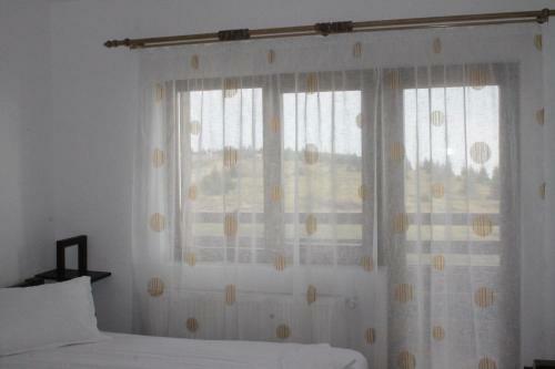 Hostal Pensiunea Muntele Alb
