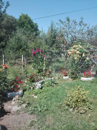 Hostal Kalotaszeg Vend�gh�z