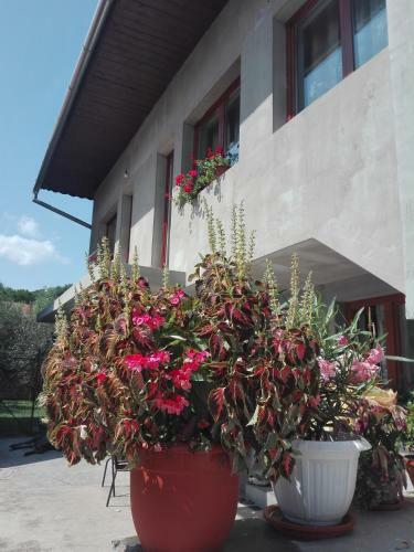 Hostal Kalotaszeg Vend�gh�z