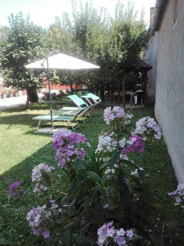Hostal Kalotaszeg Vend�gh�z