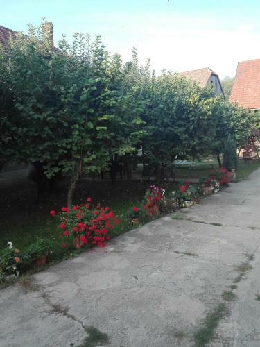 Hostal Kalotaszeg Vend�gh�z