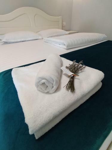 Hostal Casa Justin