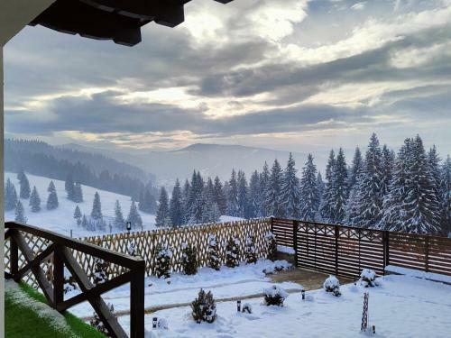 Bucovina Sky View