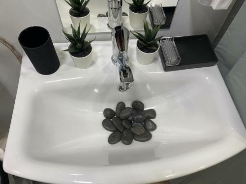 Apartamento Night Lotus