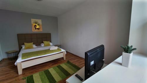 Apartamento Magic Studio Hunedoara