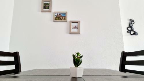 Apartamento Dabe Hd