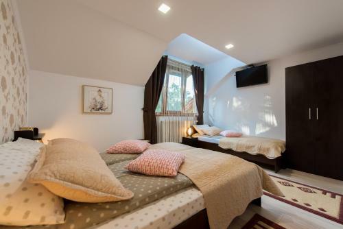 Hostal Pensiunea Surya