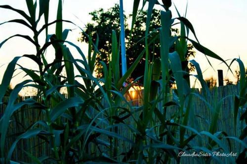 Hostal Pensiunea La Codru