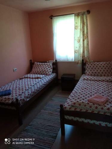 Hostal Tank� Timea Vend�gh�za