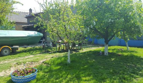 Casa Bunicilor Granny's House
