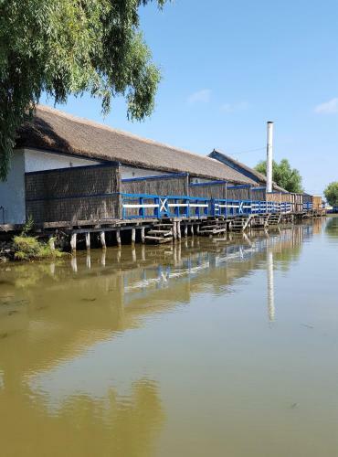 Casa Bunicilor Granny's House