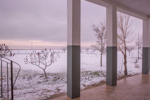 Hostal Pensiunea Palaghia