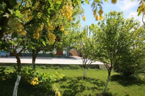 Hostal Pensiunea Palaghia