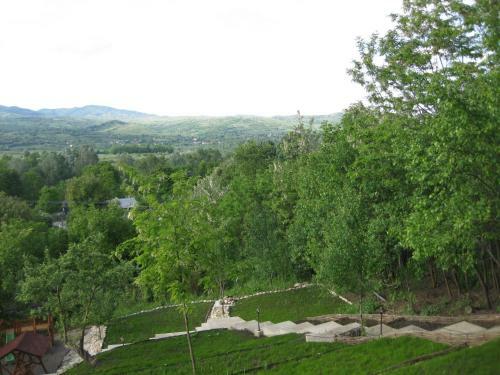 Hostal Pensiunea Agroturistica Diana