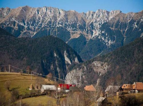 Lodge Casa Claudiu