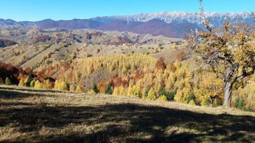 Lodge Casa Claudiu