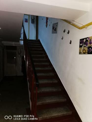 Apartamento Sophia Lupeni Straja 1