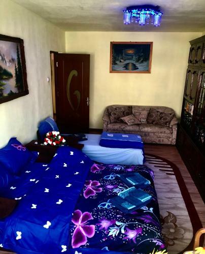 La Symo Apartament Straja Lupeni