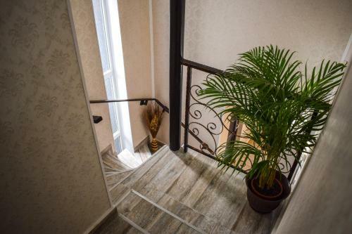 Hotel B House Rooms