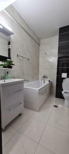 Xclusive Apartment Iulius Mall