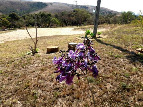 Posada S�tio Canto Da Lua Pousada