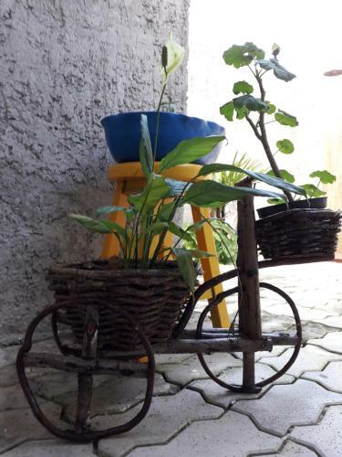 Apartamento Chal�s Aconchego