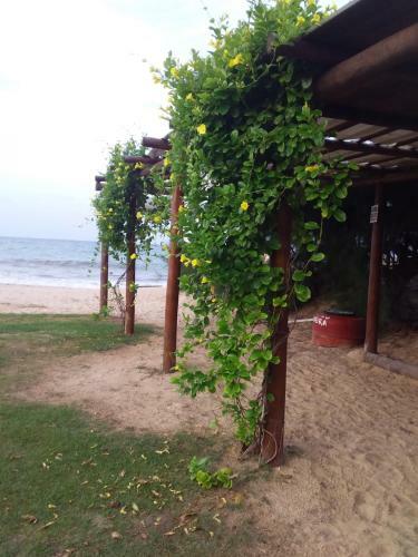 Apartamento Vacation Paradise Kitsurf