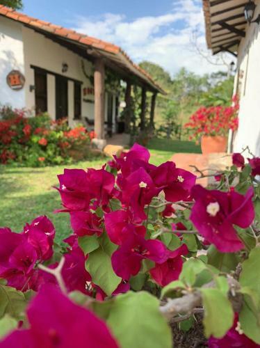 Hostal Y Sal�n de Eventos Planeta Tierra