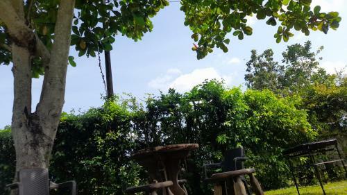 La Casa En La Estaci�n