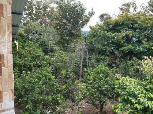 Apartamento Hospedaje Rural Amanecer Llanero