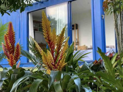 Apartamento Container Guesthouse Granja Viana -cotia