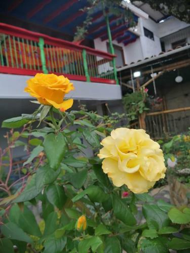 Hotel Salamina Highs