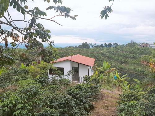 Lodge Villa Sofi