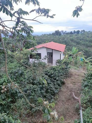 Lodge Villa Sofi