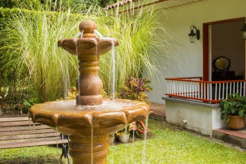 Hotel Finca Los Mangos