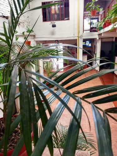 Albergue Hotel El Turista