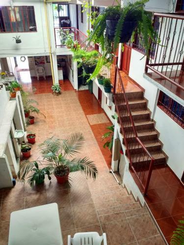 Albergue Hotel El Turista