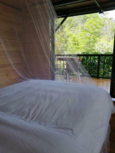 Villas Del R�o-finca Hotel