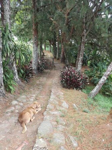 Villa Meraki Glamping