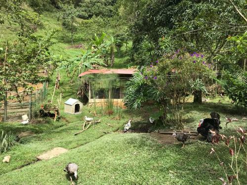 Bed & Breakfast Estacion Paraiso de Dantas