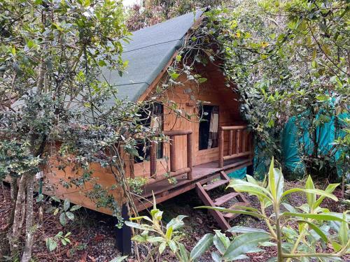 Glamping Pigmali�n Santa Elena