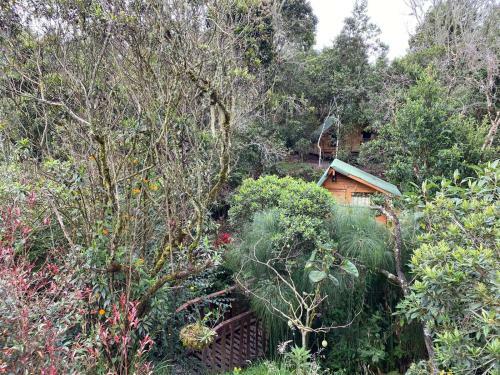 Glamping Pigmali�n Santa Elena
