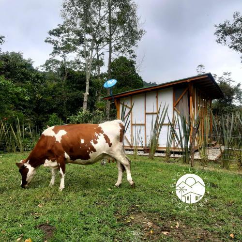 Lodge Exclusivo Cocora Con Jacuzzi Salento Quindio