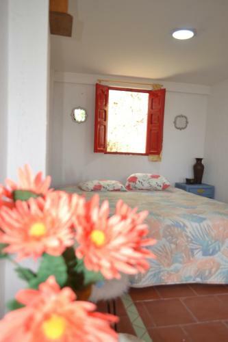 Hotel Natura Cocora
