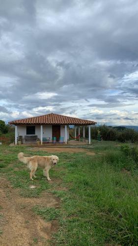 Caba�a La Hormiga