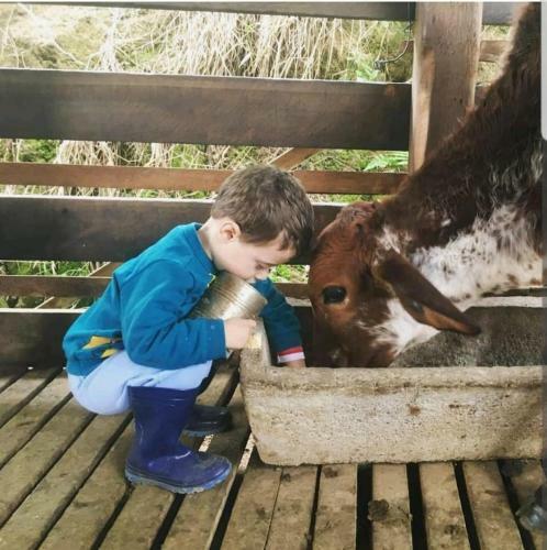 Sitio S�o Jorge