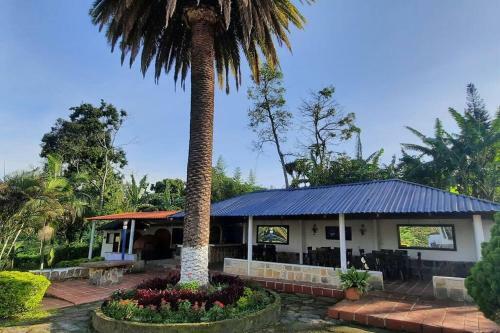 Finca Cheona