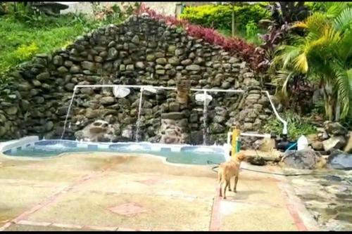 Finca Cheona