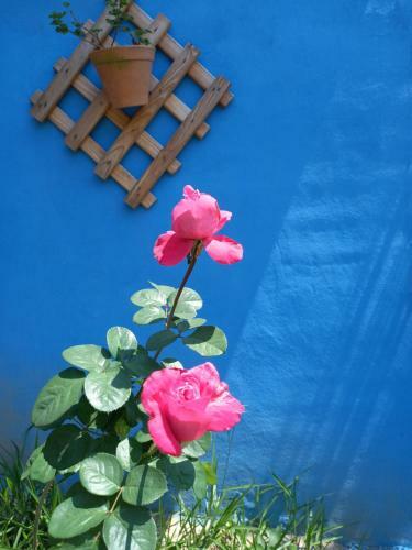 Chal�s Encantos de Cunha Rosa