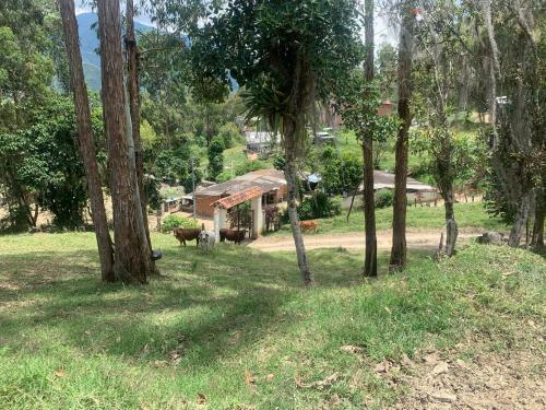 Apartamento Posada Campestre Villa Sarita